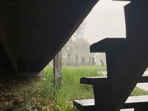 Peeking through the mist at silent stones.